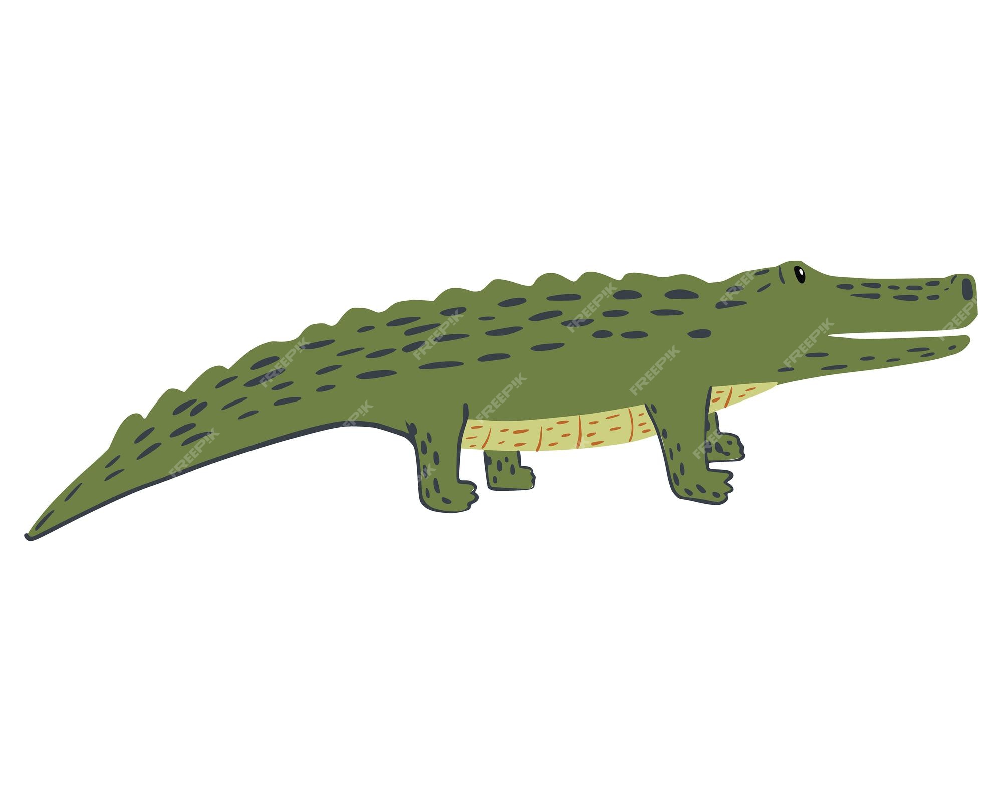 Crocodilo Réptil Personagem Animal Ilustração Desenho Animado