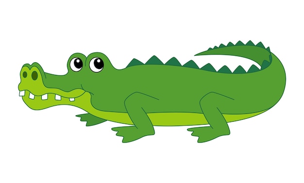 Vetor crocodilo isolado no fundo branco. ilustração em vetor de desenho animado