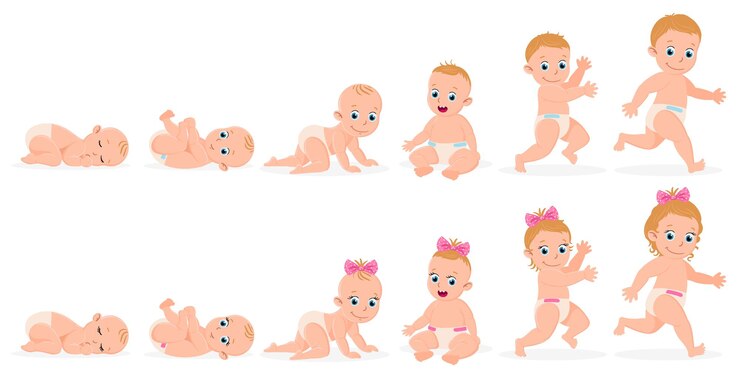 Vetor cronograma do bebê do primeiro ano. menino e menina no primeiro ano de desenvolvimento de ilustração vetorial de recém-nascido a criança. desenvolvimento de estágios de mês de bebê fofo. desenvolvimento infantil, cronograma inicial da criança