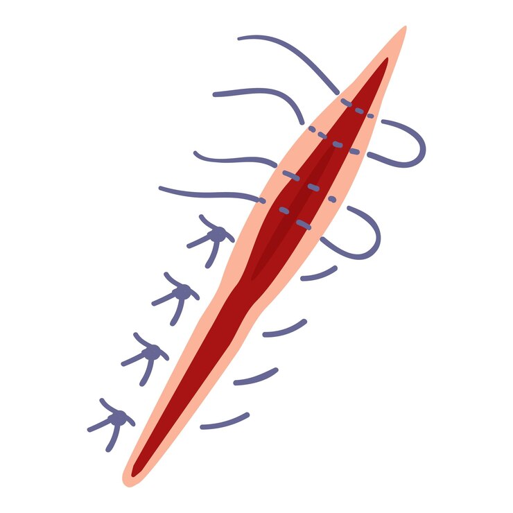 Vetor cuidados de sutura pinças ícone vetor de desenho animado saúde pele médica pele cortada