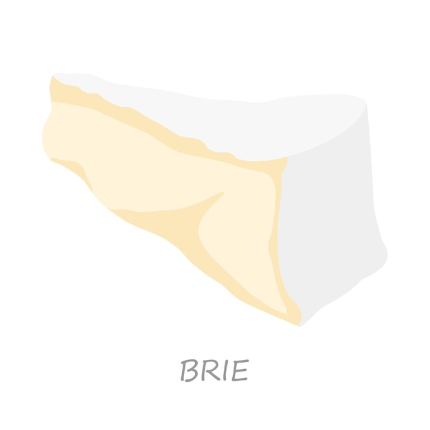 Vetor cunha de brie de queijo isolada em um fundo branco