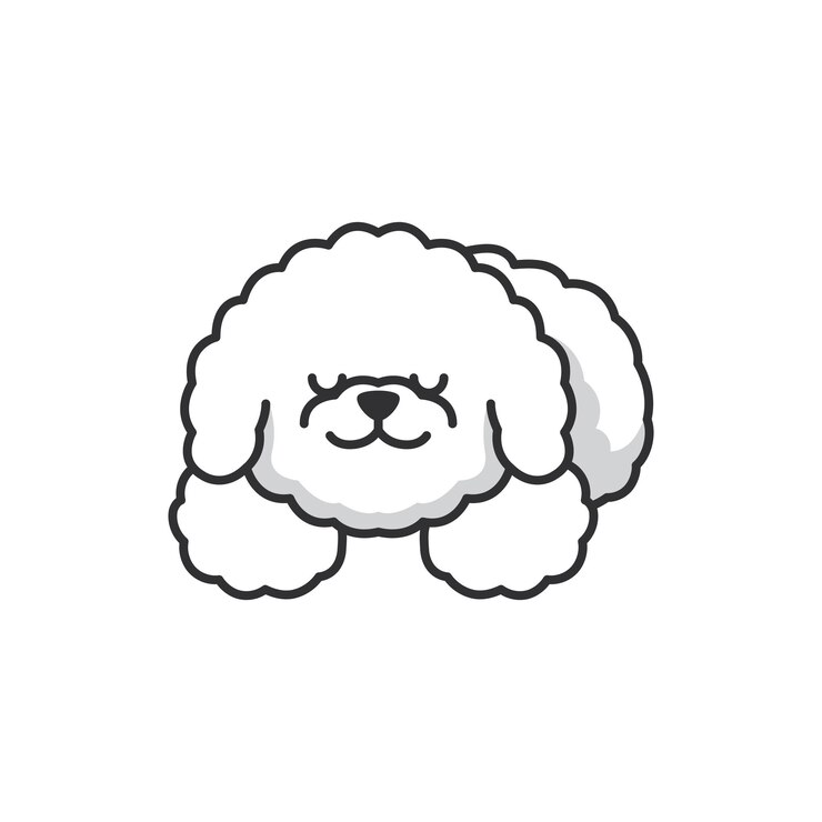Vetor cute, bichon, cão, doodle, vetorial, ilustração, bonito, caricatura, cão