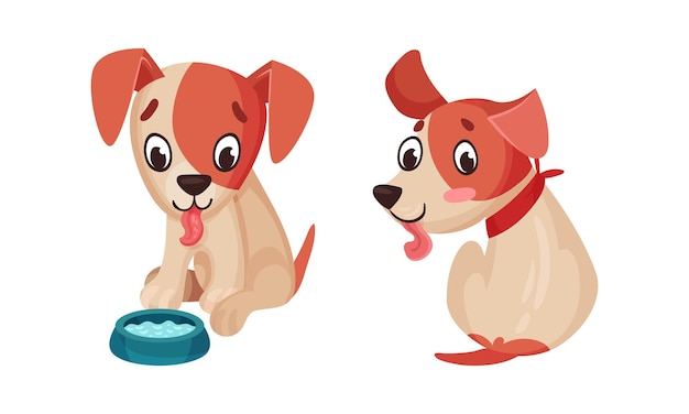 Cute cachorrinho conjunto de rotina diária adorável pequeno animal de estimação sentado ilustração vetorial de desenho animado