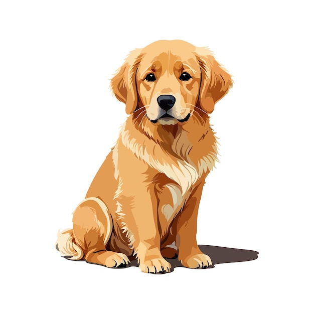 Cute cão golden retriever sentado gráfico vetorial e ilustração