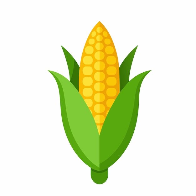 Vetor cute corn maize or corncob cartoon style on white