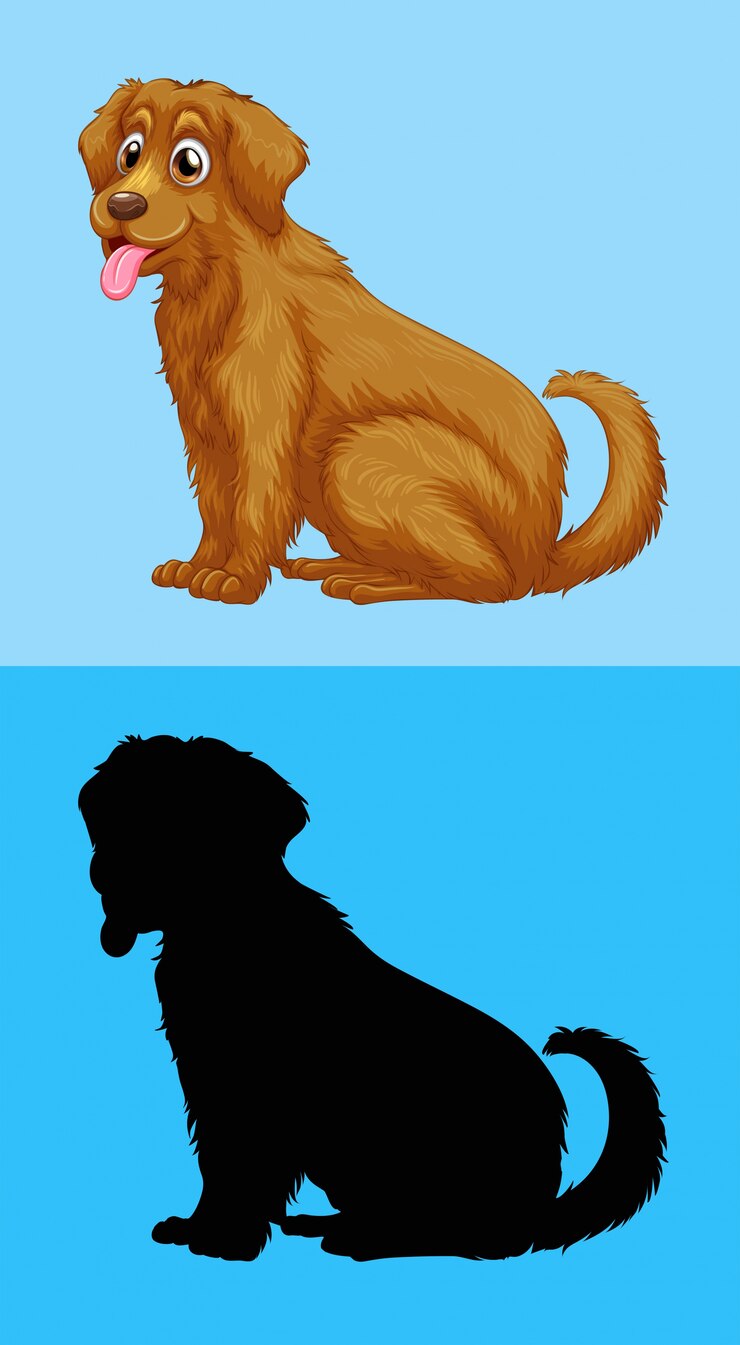 Vetor cute goldenretriever e sua silhueta