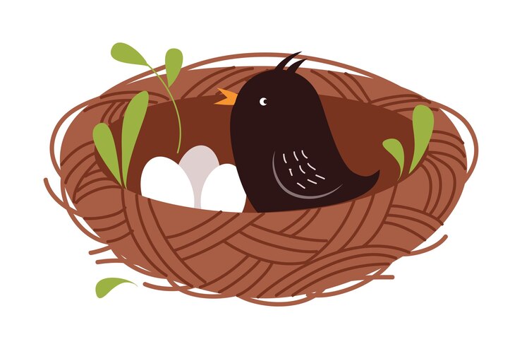 Vetor cute little bird como habitante da floresta sentado no ninho ilustração vetorial