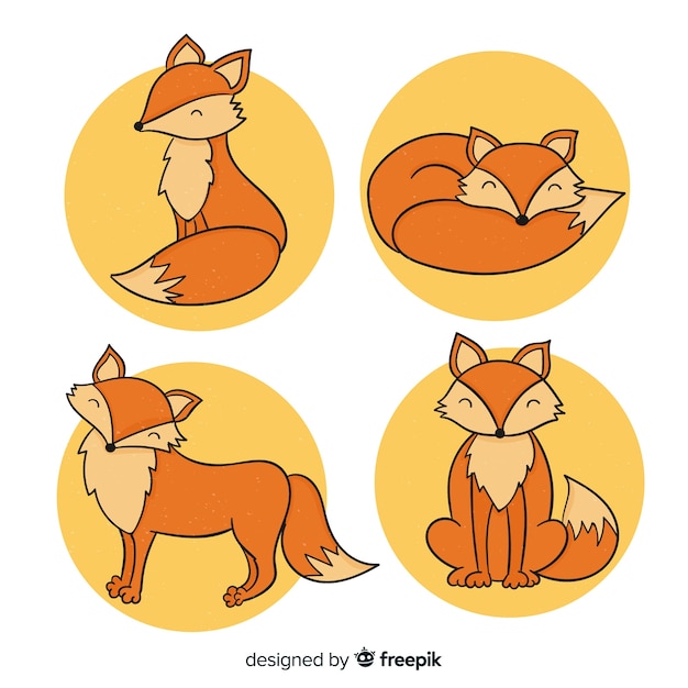 Cute, mão, desenhado, raposa, cobrança