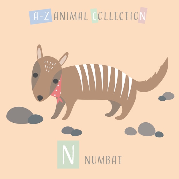 Cute numbat cartoon doodle alfabeto animal n