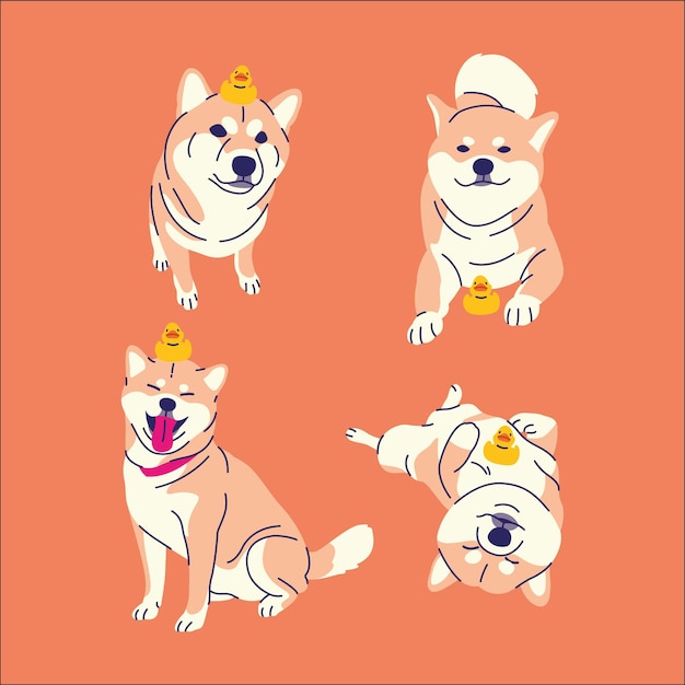 Vetor cute shiba dog vector design collection set