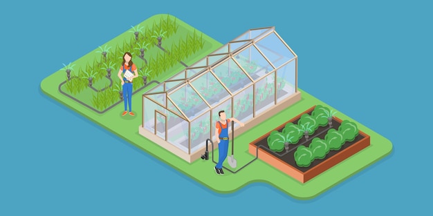 D ilustração conceitual de vetor plano isométrico de irrigação automática por gotejamento