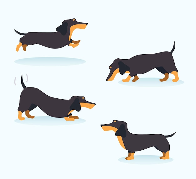 Dachshund ilustração vetorial