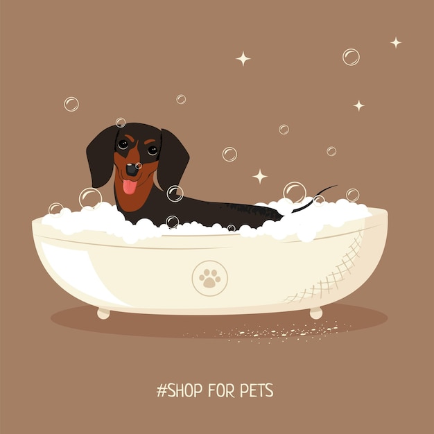 Vetor dachshundshop1pxjpg