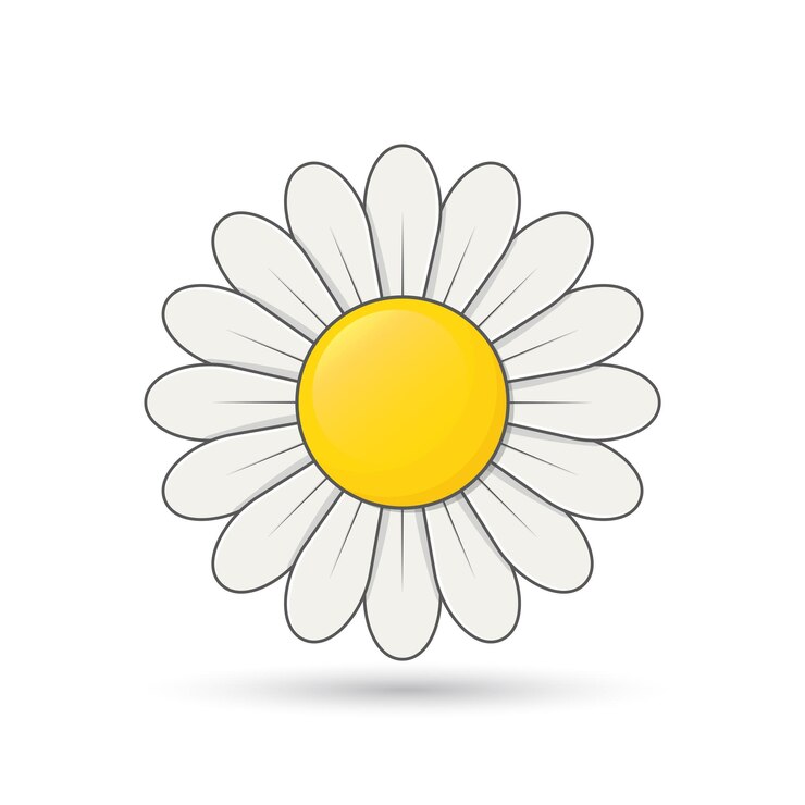 Vetor daisy cute flower simples sombra margarida vetor sinal de flor