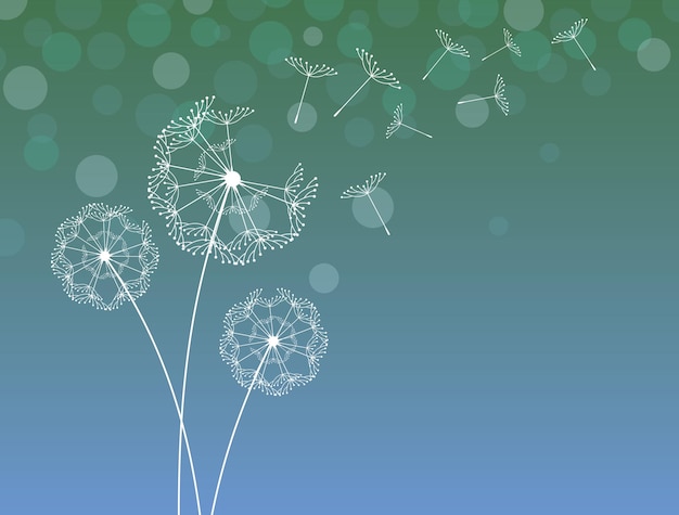 Dandelions soprando sementes no vento