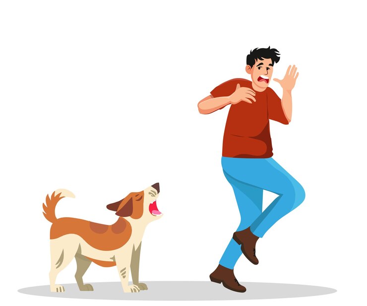 Vetor de ilustrações simples a ilustrações detalhadas