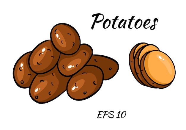 Definido com imagem colorida de batatas isoladas no fundo branco. estilo de desenho animado.