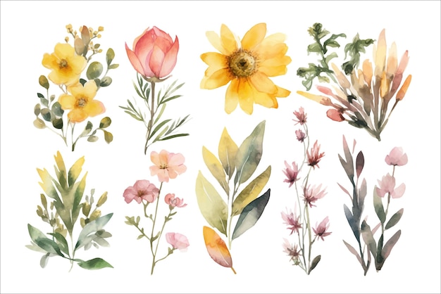 Definir arranjos de aquarela com flores de jardim Modelo de elementos decorativos de flores Ilustração plana dos desenhos animados isolada no fundo branco