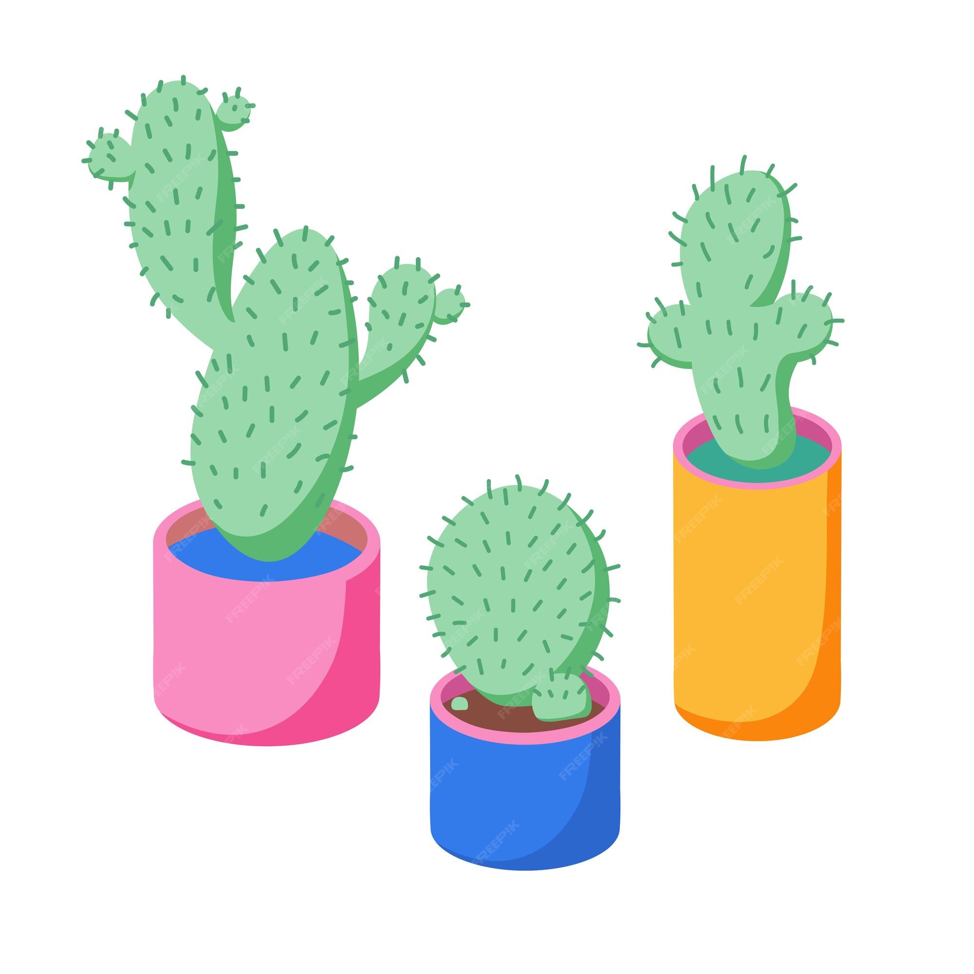 Conjunto de cactos em estilo simples de desenho animado isolado no