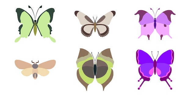 Definir coleção de borboletas em um fundo branco ícone de desenho isolado conjunto de insetos decorativos