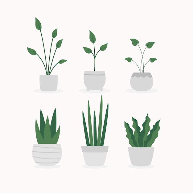 Definir coleção de vetores de plantas em vasos
