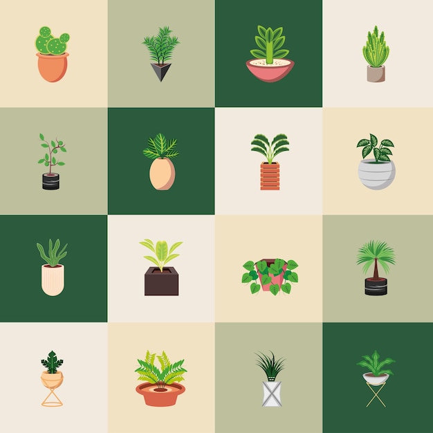 Definir decoração de plantas de casa