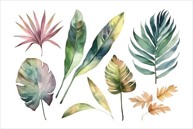 Vetor definir folhas de palmeira em aquarela modelo de elementos decorativos de flores ilustração plana dos desenhos animados isolada no fundo branco