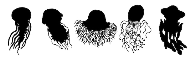Definir formas diferentes de medusas de silhueta ícones vetoriais animais selvagens do oceano vida subaquática doodle ilustrações isoladas