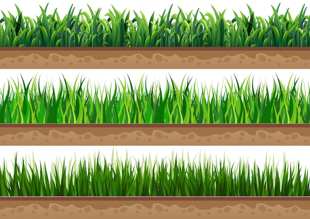 Definir grama verde com ilustração vetorial isolado