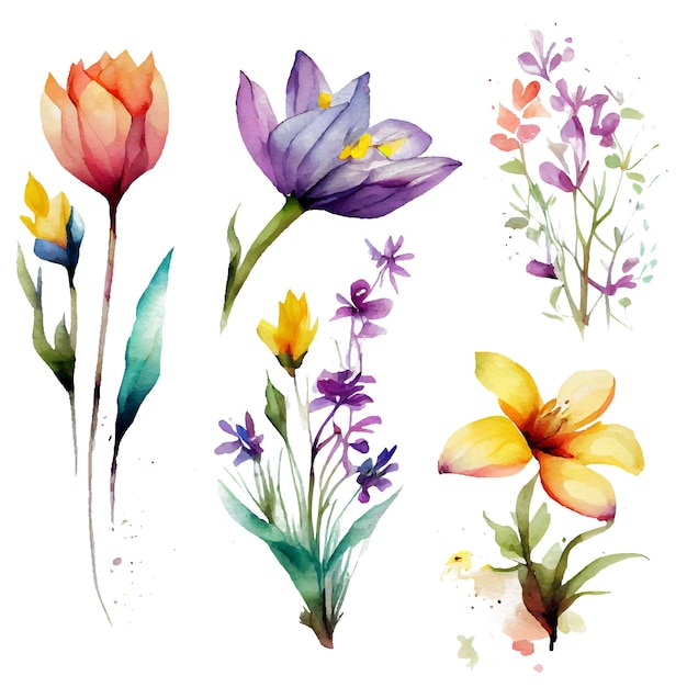 Definir ilustração vetorial de flores desabrochando isola fundo Dia Internacional da Mulher e Festival da Primavera