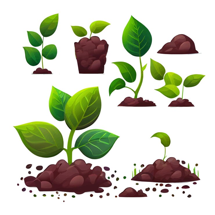 Vetor definir ilustração vetorial de planta crescendo no solo em mãos isoladas