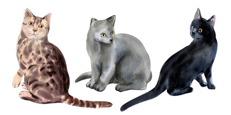 Vetor definir pintura em aquarela de gato