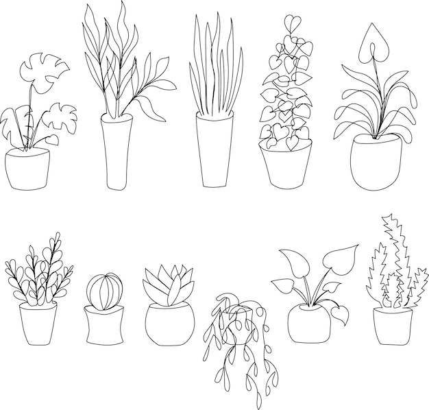 Definir plantas domésticas em estilo de linha mono na moda, art deco, vasos de flores vetoriais isolados