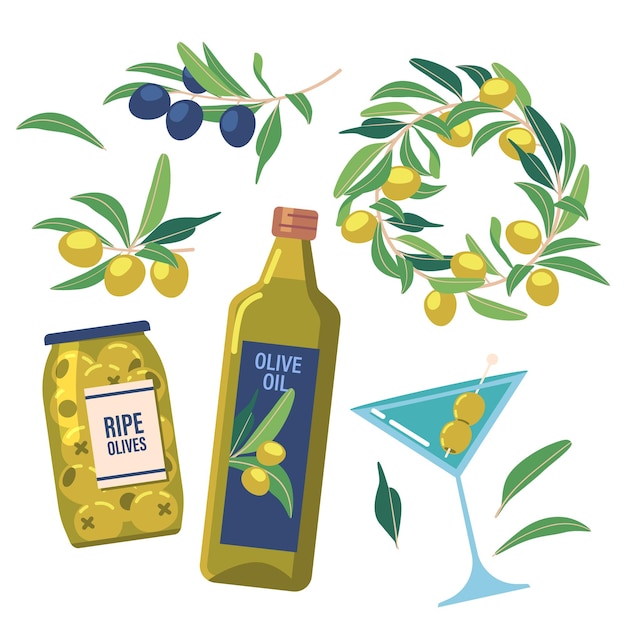 Definir produtos orgânicos de azeitona, azeitonas verdes e pretas em ramos e no frasco de vidro, óleo em garrafa, copo de vinho de martini. frutos maduros gregos, cozinha mediterrânea, alimento natural isolado. ilustração vetorial