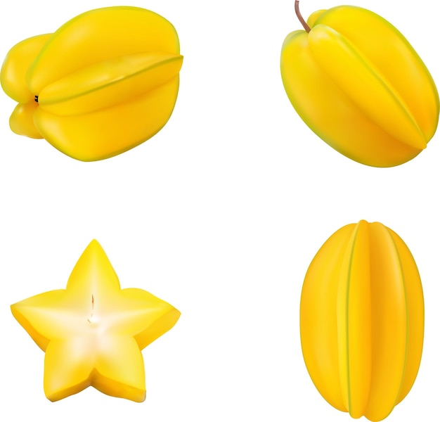 Definir vetor carambola carambola