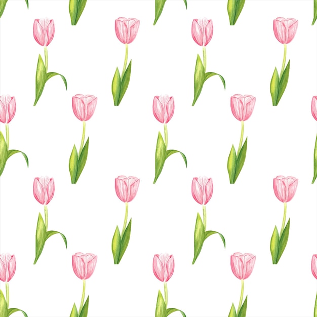 Vetor delicada flor rosa tulipa sem costura padrão
