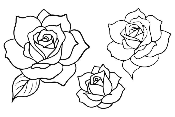 Vetor delicate rose line art fine linework floral masterpiece (arte da linha de rosas)