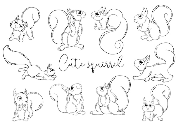 Como Desenhar um ESQUILO  How to Draw Squirrel 