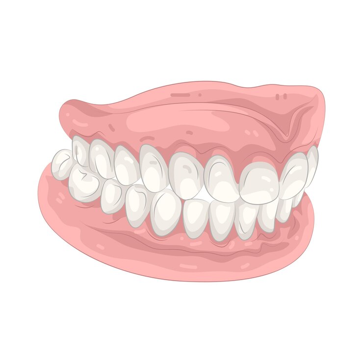 Vetor dentadura