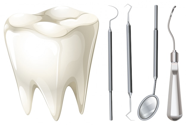 Dental, jogo, dente, equipamento, ilustração