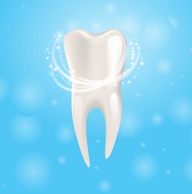 Dente saudável de ilustração realista em vetor 3d