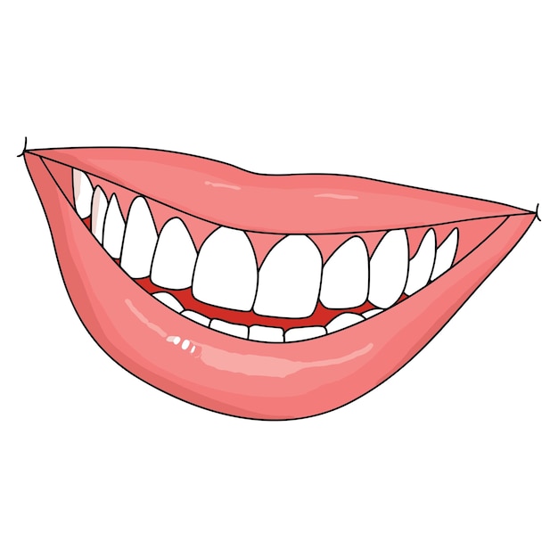 Dentes isolados em fundo branco