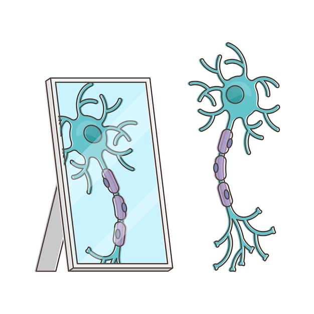 Desempenho engraçado do neurônio espelho com o próprio conceito de contorno de vista de reflexão. comportamento imitativo e explicação empatia do aspecto da neurociência com ilustração vetorial de desenho de nervo de estilo cartoon.