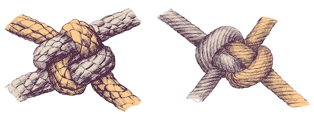 Desenhado à mão dois fortes nós náuticos de cordas de apareamento ilustração vetorial isolada em branco