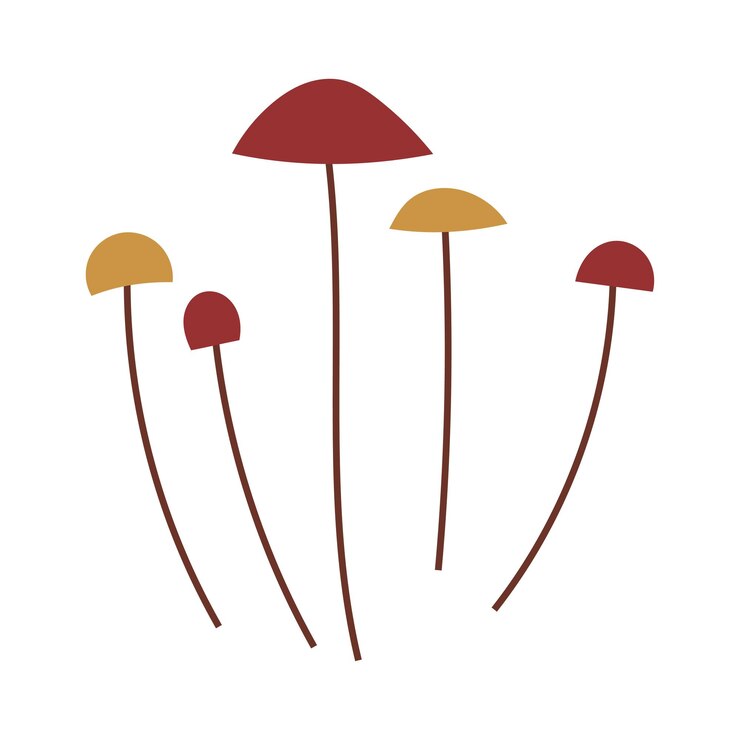 Vetor desenhar à mão cogumelos de outono minimalistas isolados em um fundo branco ilustração vetorial única em estilo plano de doodle ilustrações aconchegantes de clipart para embalagens de embalagem de impressão