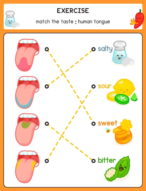 Vetor desenhe uma linha combinando as palavras e a imagem sobre a folha de exercícios da língua humana kawaii doodle vector