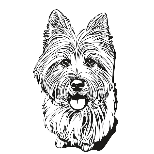 Desenho a lápis realista de cão coton de tulear em ilustração de arte de linha vetorial de animal de estimação de raça realista em preto e branco