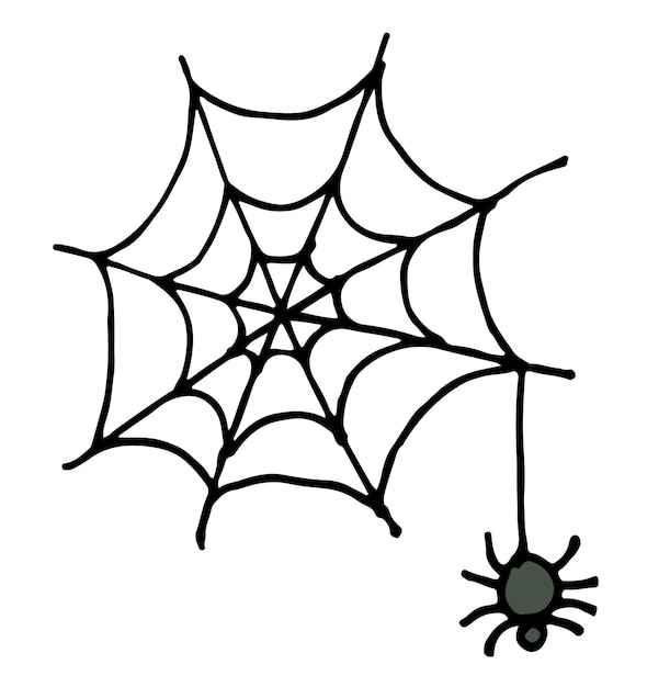 Desenho à mão aranha e ilustração vetorial da web