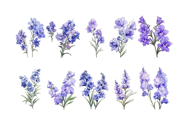 Vetor desenho a mão de larkspur arranjo de flores clipart