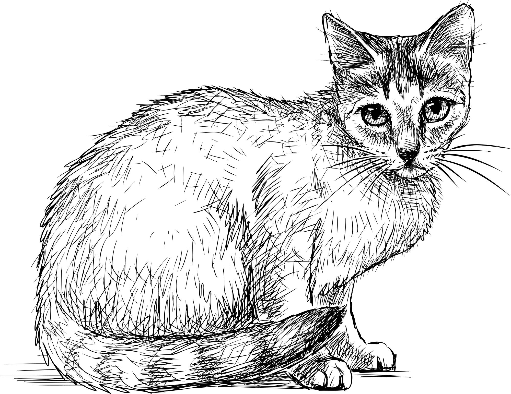 Gato No Rabisco Da Janela. Desenho Simples De Quatro Gatos Em Forma  Geométrica Quadrada Cada Um Em Diferentes Poses Ilustração do Vetor -  Ilustração de vetor, fofofo: 204735335